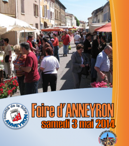 Aspiration-centralisee-husky-foire-anneyron